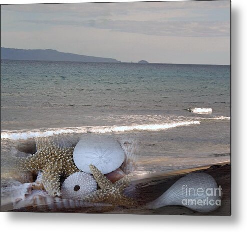 Seashells Metal Print featuring the photograph Seashells on the Beach by Yumi Johnson