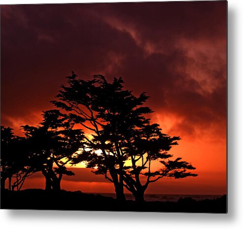 Sunset Metal Print featuring the photograph Silhouetted Cypresses by Bill Gallagher