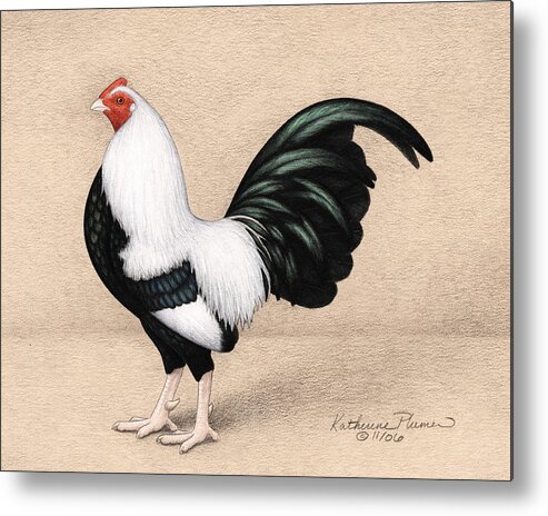 Rooster Metal Print featuring the drawing Silver Duckwing Old English Game Bantam by Katherine Plumer