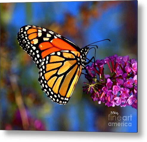 Sipping Metal Print featuring the photograph Sipping Monarch by Patrick Witz