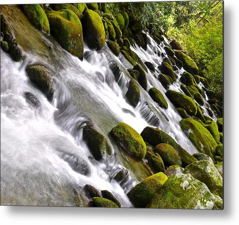 Smoky Metal Print featuring the photograph Smoky Mountain Abstract by Frozen in Time Fine Art Photography