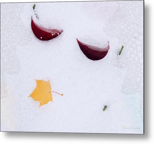 Snow Kissed Metal Print featuring the photograph Snow Kissed by Terri Harper