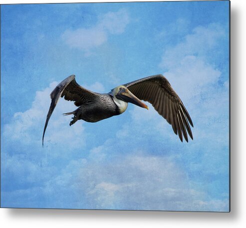 Pelican Metal Print featuring the photograph Soaring By by Kim Hojnacki