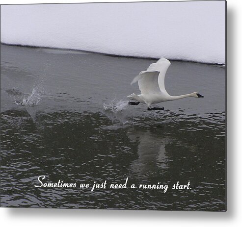 Nature Metal Print featuring the photograph Sometimes We Just Need A Running Start by DeeLon Merritt