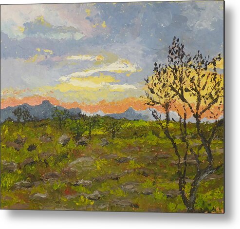 Landscape Metal Print featuring the painting South African Sunset by Diane Arlitt