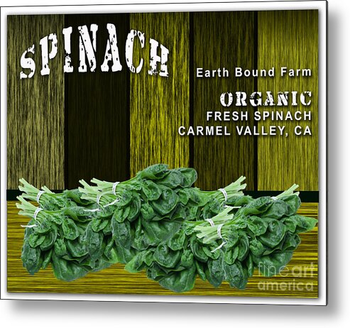 Spinach Photographs Metal Print featuring the mixed media Spinach Patch by Marvin Blaine