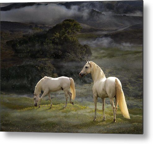 White Stallions Metal Print featuring the photograph Stallions of the Gods by Melinda Hughes-Berland
