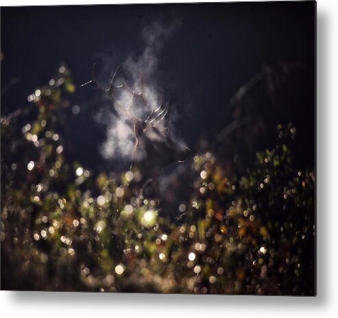 Bull Elk Metal Print featuring the photograph Steaming Bull Elk with Iris Flare by Michael Dougherty