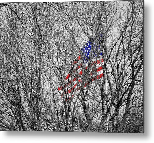 Flag Metal Print featuring the photograph Still There by Gene Tatroe