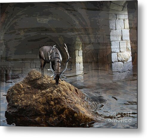 Deer Metal Print featuring the photograph Stillness by Yvonne Wright