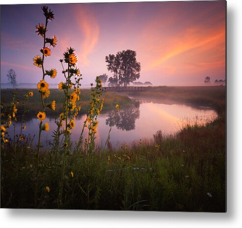 Sunset Metal Print featuring the photograph Sunflower Sunrise by Ray Mathis