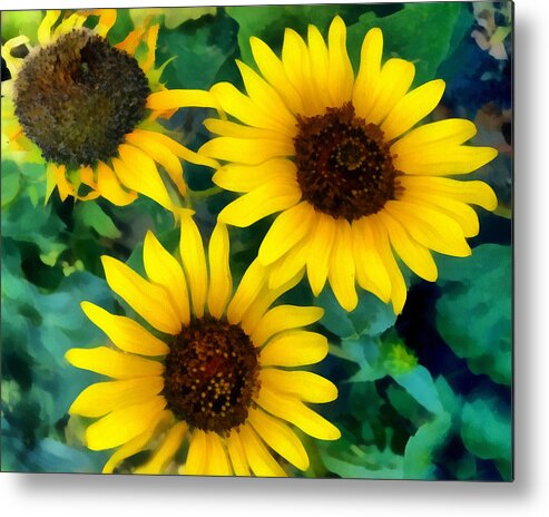 Sunflower Metal Print featuring the photograph Sunflower Trio by Ann Powell