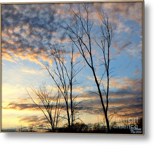 Nature Metal Print featuring the photograph Sunny Sky by Rennae Christman