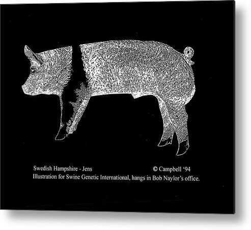 Swedish Hampshire Metal Print featuring the drawing Swedish Hampshire by Larry Campbell