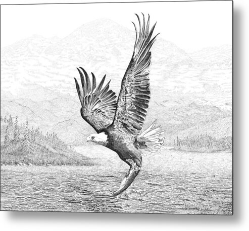 Pen And Ink Drawing Of Eagle Catching Fish Metal Print featuring the drawing The Catch by Carl Genovese