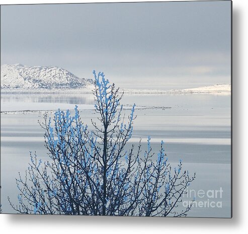Winterscape Metal Print featuring the photograph The Freeze at Mono Lake by L J Oakes