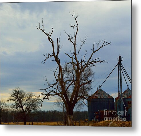Tree Metal Print featuring the photograph The Stark Tree by Alys Caviness-Gober