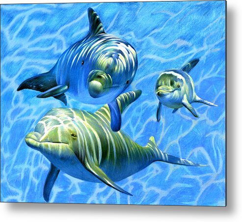 Dolphin marine Mammal Family Underwater Swimming Ocean Water Metal Print featuring the drawing The Swimming Family by Roselene Chen 8th Grade by California Coastal Commission