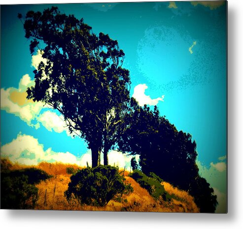 Trees Metal Print featuring the photograph The Textured Trees by Lisa Holland-Gillem