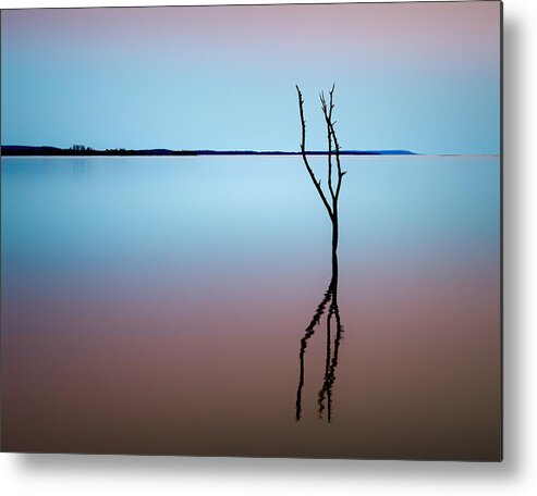 Sequoyah National Wildlife Refuge Metal Print featuring the photograph Tree in Lake by James Barber