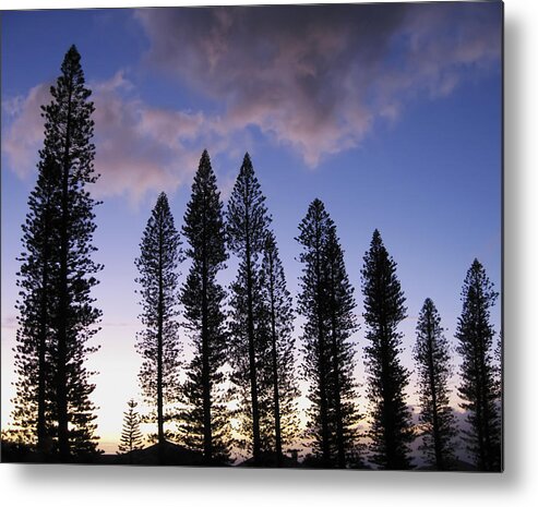 3scape Photos Metal Print featuring the photograph Trees in Silhouette by Adam Romanowicz