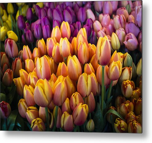 Tulip Metal Print featuring the photograph Tulips at the Market by Kyle Wasielewski