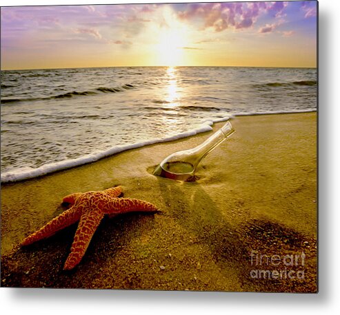 Sunset Metal Print featuring the photograph Two Friends on the Beach by Jon Neidert