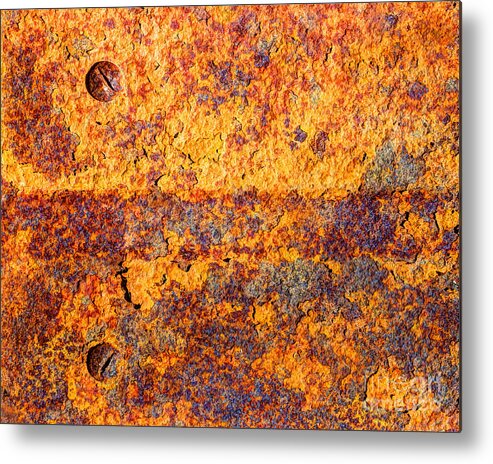 Orange Metal Print featuring the photograph Two by Heidi Smith