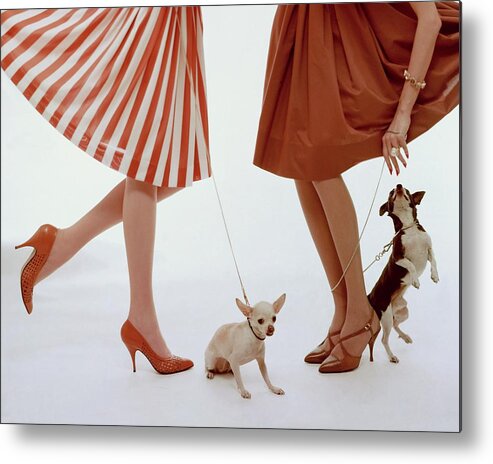 Accessories Metal Print featuring the photograph Two Models With Dogs by William Bell