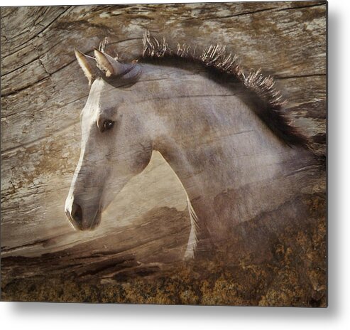 Spirited Horses Metal Print featuring the photograph UNO by Melinda Hughes-Berland