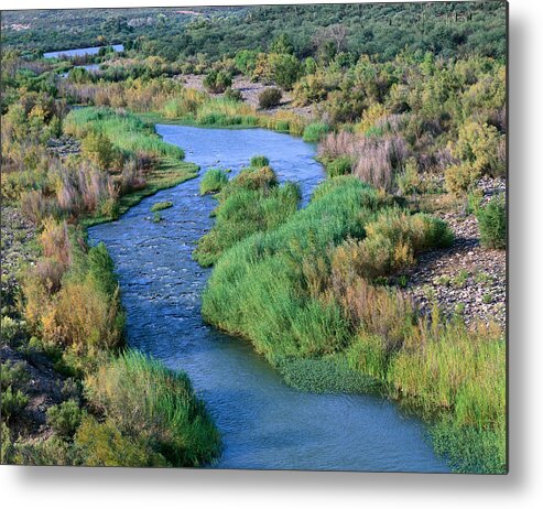 Arizona Metal Print featuring the photograph Verde River Z by Tom Daniel