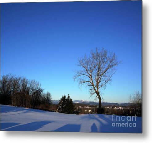 Cold Metal Print featuring the photograph Vermont Winter by Joann Bristol Photography