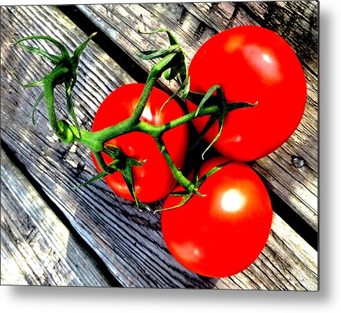 Tomato Metal Print featuring the photograph Vine Ripened Trio by Shawna Rowe