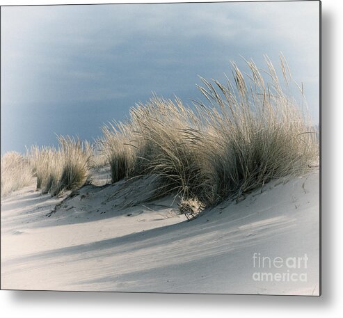 Dunes Metal Print featuring the photograph Dune Grass #2 by Timothy Johnson