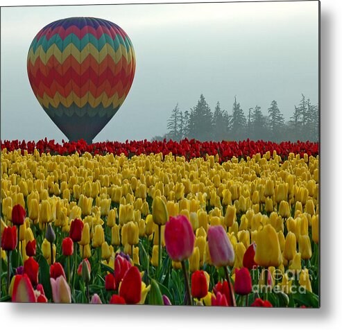 Pacific Metal Print featuring the photograph Waiting For Lift Off by Nick Boren