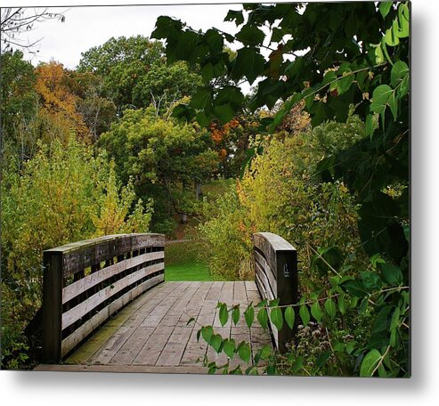 Woodland Metal Print featuring the photograph Walking Bridge by Bruce Bley