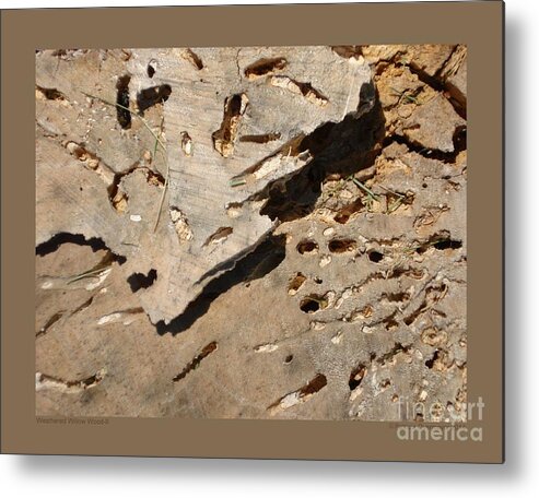 Wood Metal Print featuring the photograph Weathered Willow Wood-II by Patricia Overmoyer