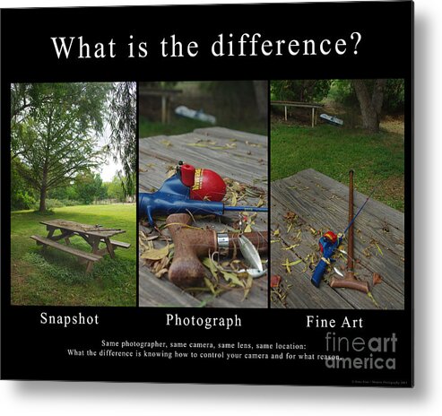 Photography Metal Print featuring the photograph What is the Difference by Peter Piatt