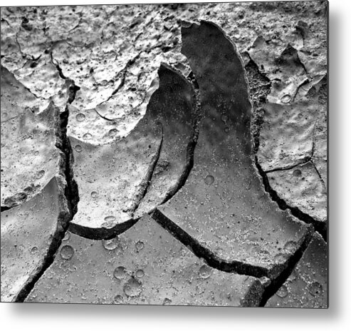 Green River Metal Print featuring the photograph What It's Cracked Up To Be by Allen Lefever