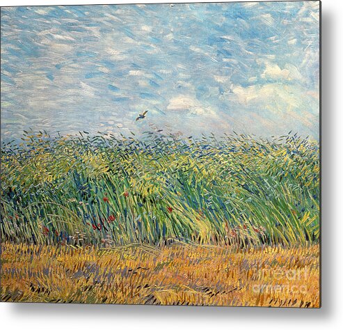 Post-impressionist Metal Print featuring the painting Wheatfield with Lark by Vincent van Gogh