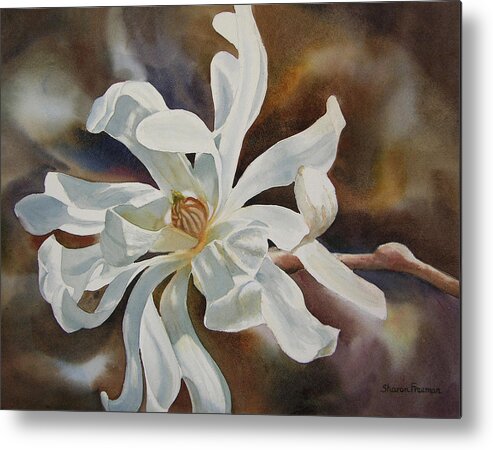 Magnolia Metal Print featuring the painting White Star Magnolia Blossom by Sharon Freeman
