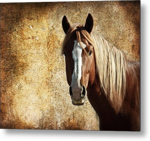 Wild Horses Metal Print featuring the photograph Wild Horse Fade by Steve McKinzie