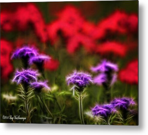 Verbena Metal Print featuring the photograph Wildflower Fantasy by Lucy VanSwearingen