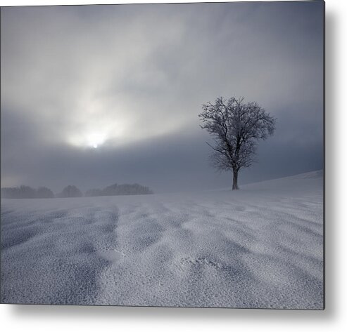 Landscape Metal Print featuring the photograph Winter Impression by Franz Schumacher