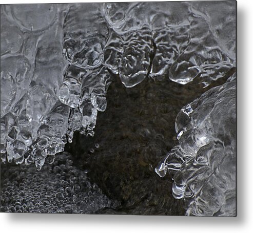 Cold Metal Print featuring the photograph Winter Jewels III by Alan Norsworthy