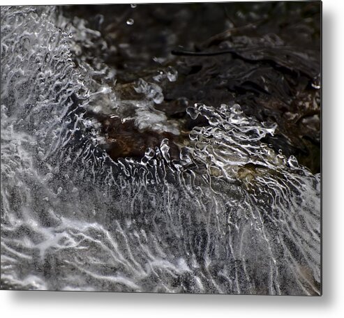 Cold Metal Print featuring the photograph Winter Jewels VII by Alan Norsworthy