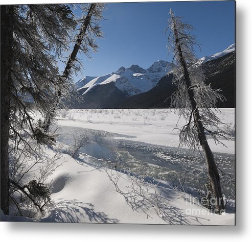 Nature Metal Print featuring the photograph Winter Stream, Jasper National Park by John Shaw