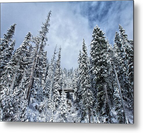  River Metal Print featuring the photograph Winter Wonderland by Darren White