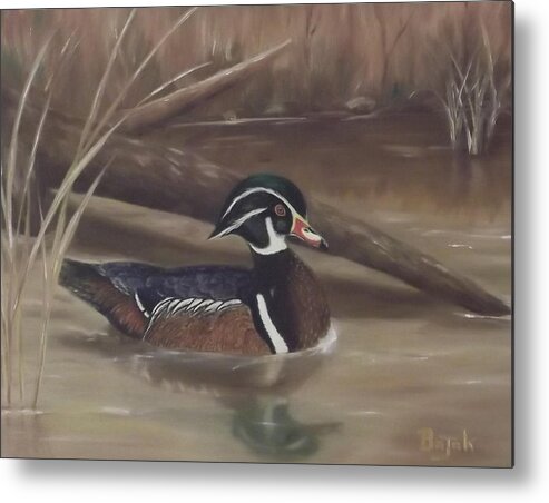 Wood Duck Metal Print featuring the painting Woody by Rudolph Bajak