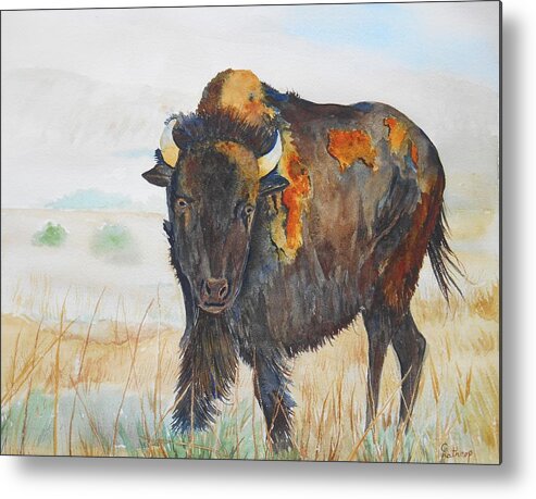Bison Metal Print featuring the painting Wyoming - King of the Prairie by Christine Lathrop